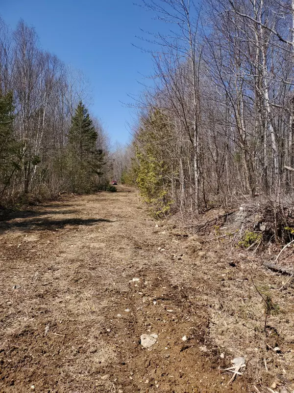 Mount Chase, ME 04765,Lot 23 Allsbury RD