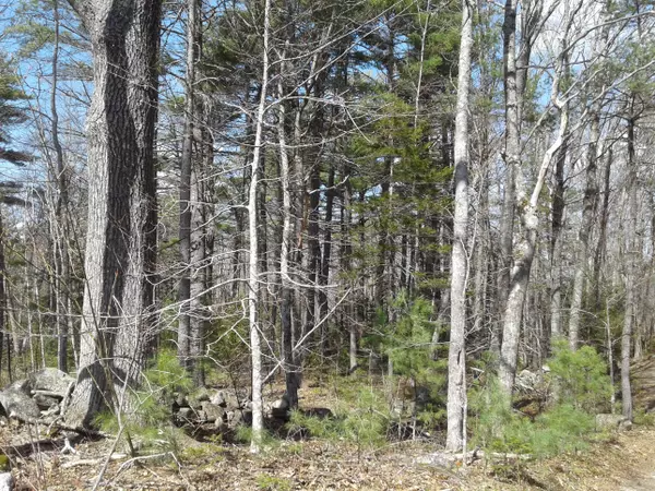 Lincolnville, ME 04849,379 Greenacre RD