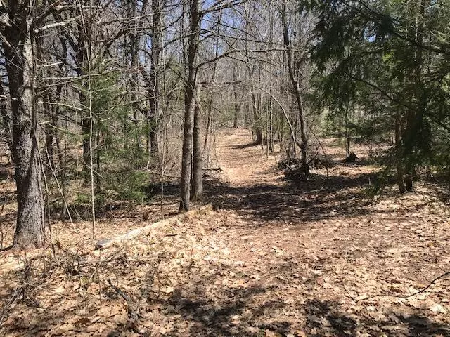 Limerick, ME 04048,00 Lombard Hill RD