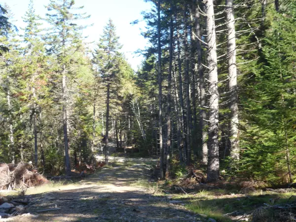 Vinalhaven, ME 04863,Lot 3 Pooles Hill RD