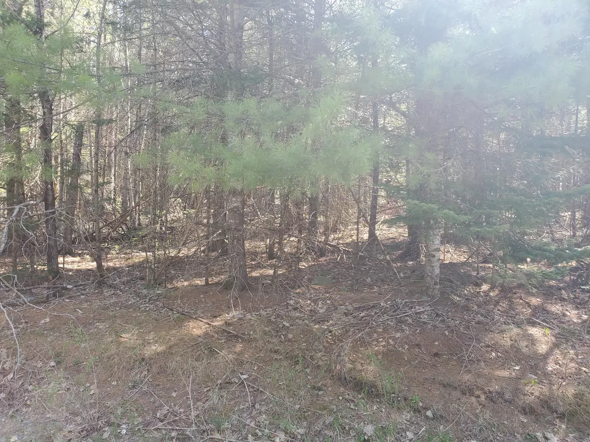 Palmyra, ME 04965,Lot 4-9 Hicks Pond DR