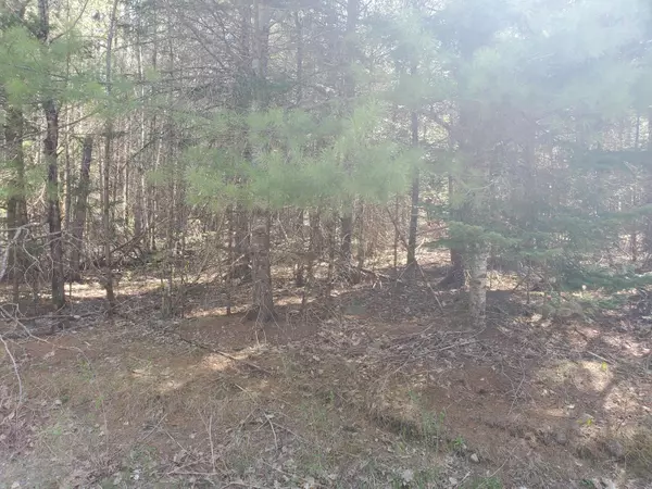 Lot 4-9 Hicks Pond DR, Palmyra, ME 04965
