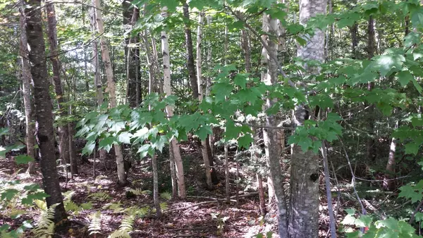 Lakeville, ME 04487,0 Lakeville Shores and Cody Way RD