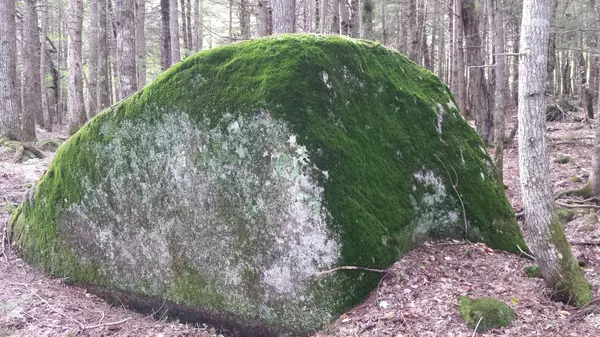 Lakeville, ME 04487,0 Lakeville Shores and Cody Way RD