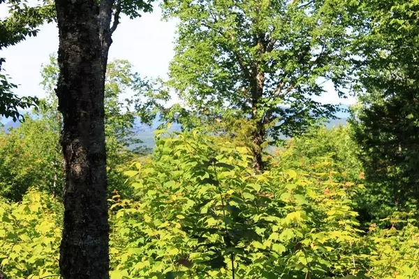 Greenville, ME 04441,#9 Alpine Ridge