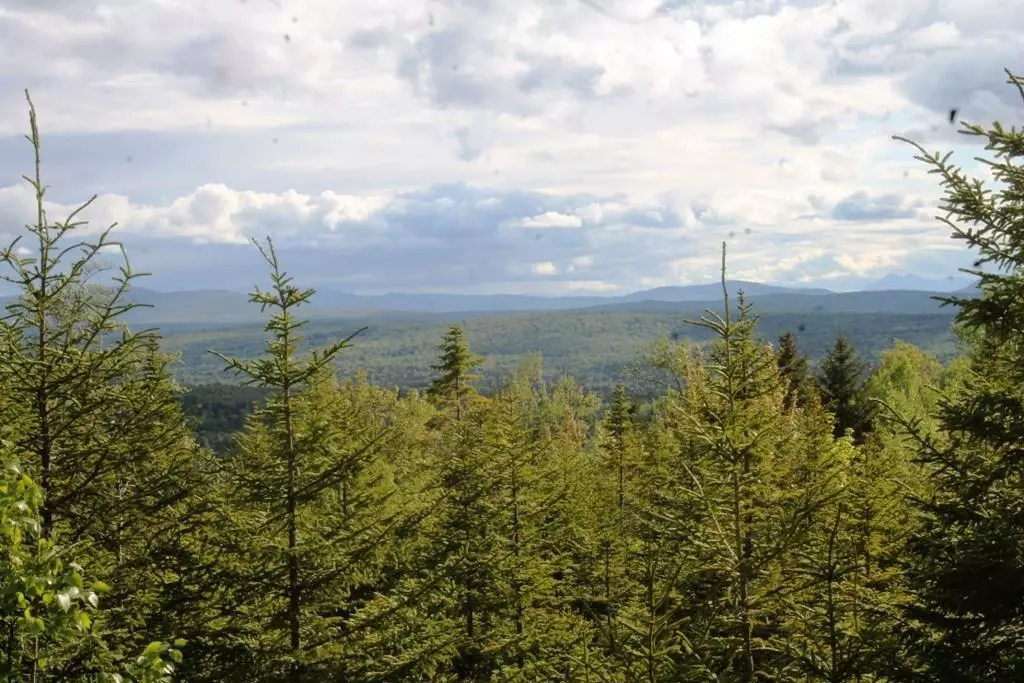 Greenville, ME 04441,#12 Alpine Ridge DR