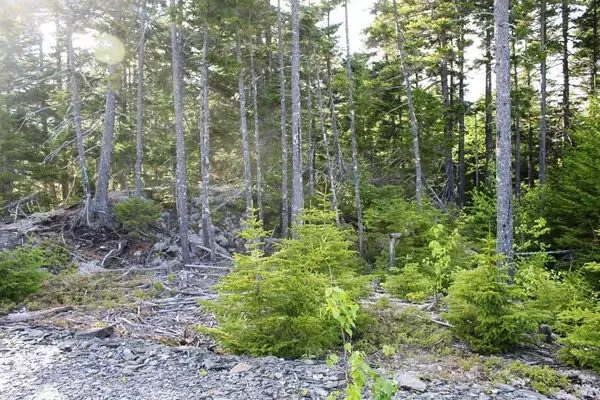 Greenville, ME 04441,#12 Alpine Ridge DR