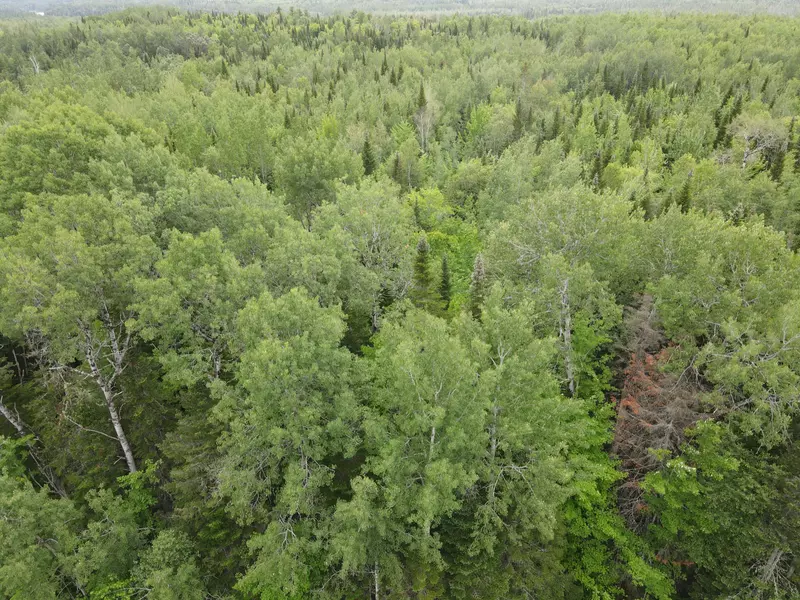 Lot 35.1 Beaulieu RD, Connor Twp, ME 04736