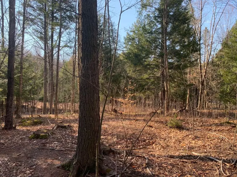 0 Poland RD, Freeport, ME 04032