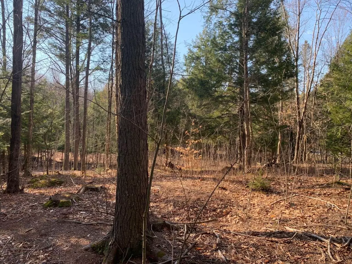 Freeport, ME 04032,0 Poland RD