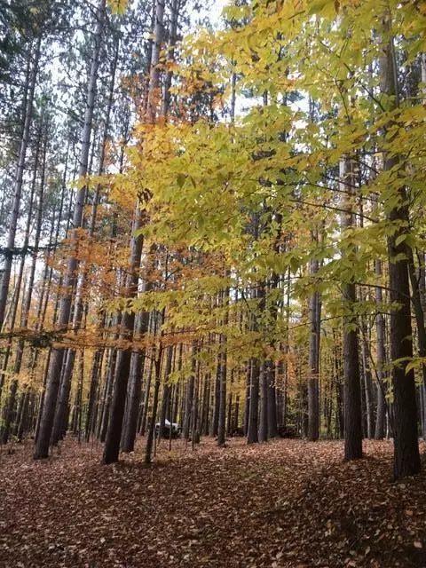 Waterford, ME 04088,0 Mill Hill RD