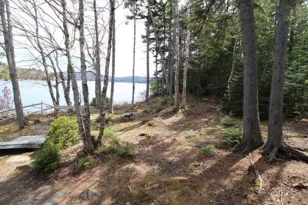 Sandy River Plt, ME 04970,122 Edelheid RD