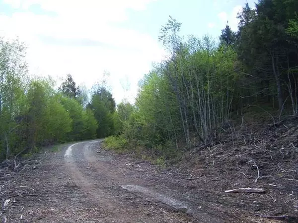 Prentiss Twp T7 R3 Nbpp, ME 04487,TBD Rainy RD