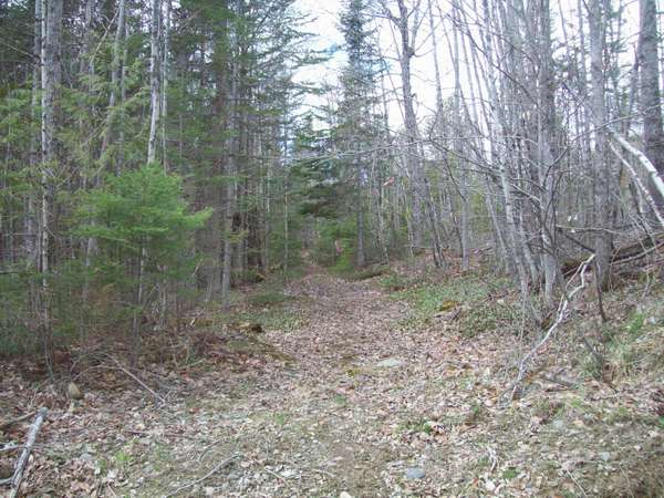 tbd Sheepskin Road, Carroll Plt, ME 04487