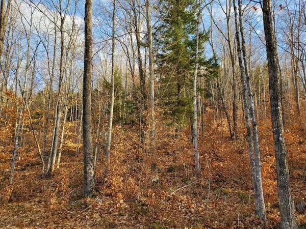 Norway, ME 04268,Lot 10 Needham RD