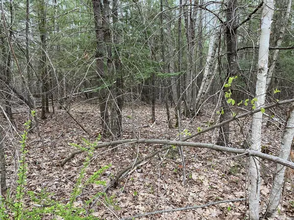 Gorham, ME 04038,0 Waterhouse / End of Perry LN