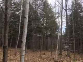 0 Sawyer Rd, Lot14, Settlers Knoll, Waterford, ME 04088