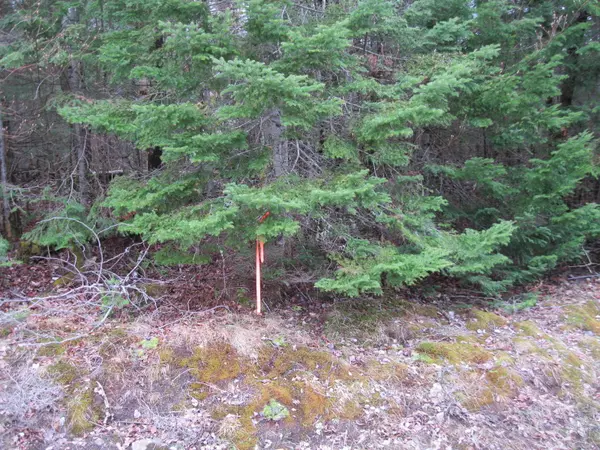 Rangeley Plt, ME 04970,Route 17 M3 L 7.2A1