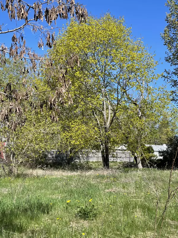 Newport, ME 04953,17 Spring ST