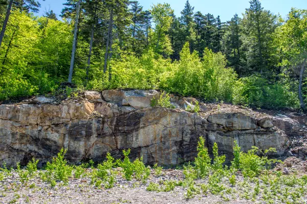 Newry, ME 04261,63 Pinnacle DR