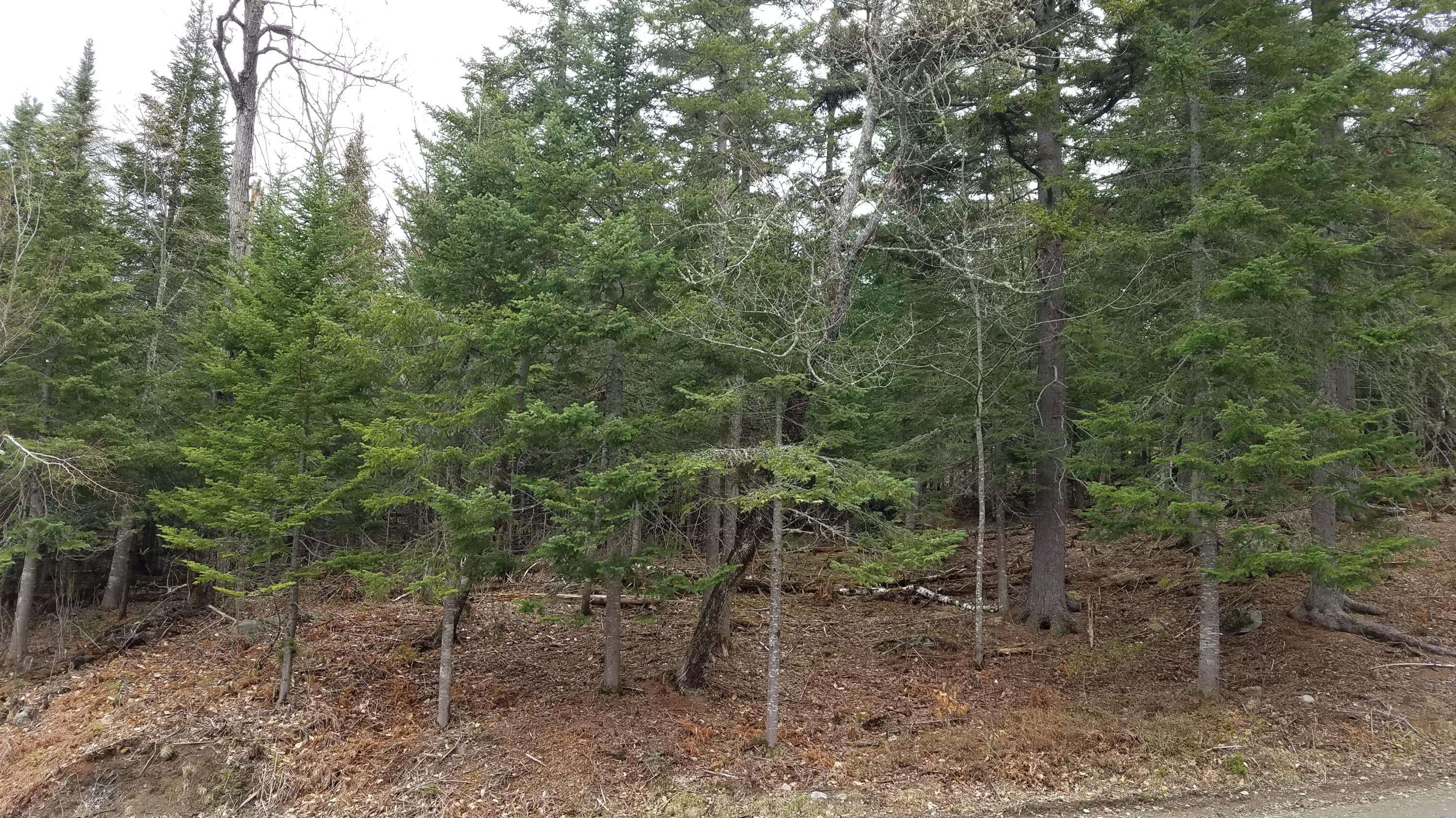 TBD LOT 33 Mountain RD, Coplin Plt, ME 04982
