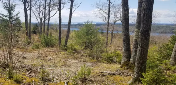 Lot 2 Acadian Oak LN, Sedgwick, ME 04676
