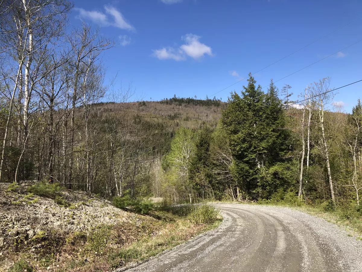 Kingfield, ME 04947,5 Highland Ave.