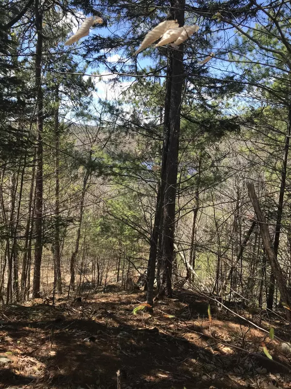 Woodstock, ME 04219,1 Birch ST