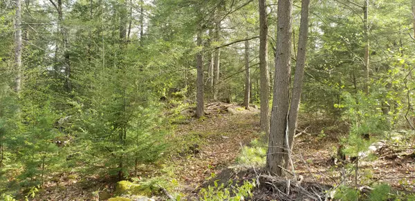 74-5B Mountain Rd, South Berwick, ME 03908