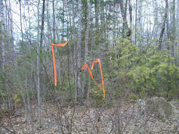 Springfield, ME 04487,tbd Lot 3 McGinley Road