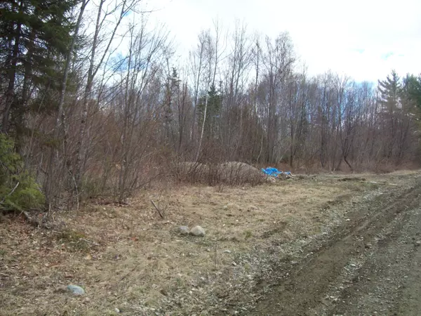 Springfield, ME 04487,tbd Lot 4 McGinley Road