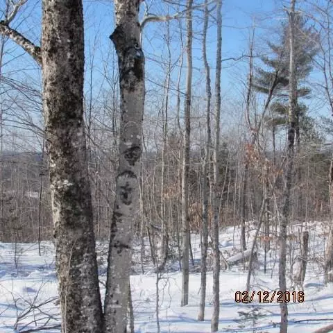 Lowell, ME 04493,Lot 8 W Old Main