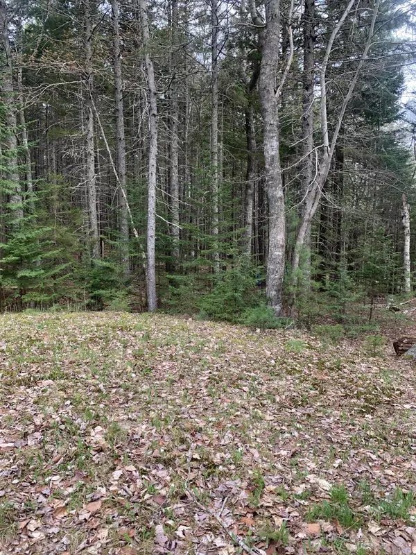 Mount Desert, ME 04660,88 Beech Hill RD