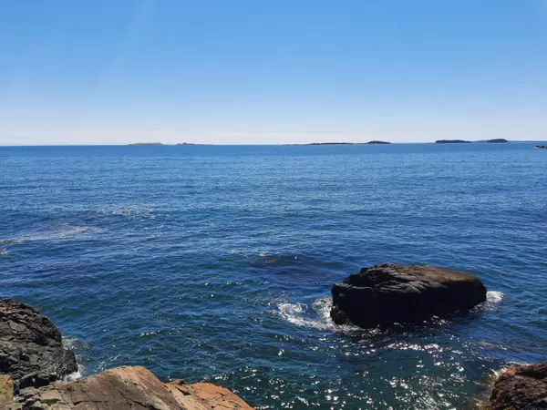 Roque Bluffs, ME 04654,43 Calf Point RD