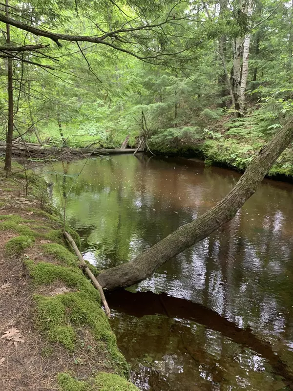 North Berwick, ME 03906,12 White Pine WAY