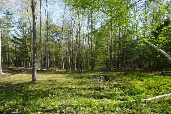 Greenville, ME 04441,54 Sap House RD