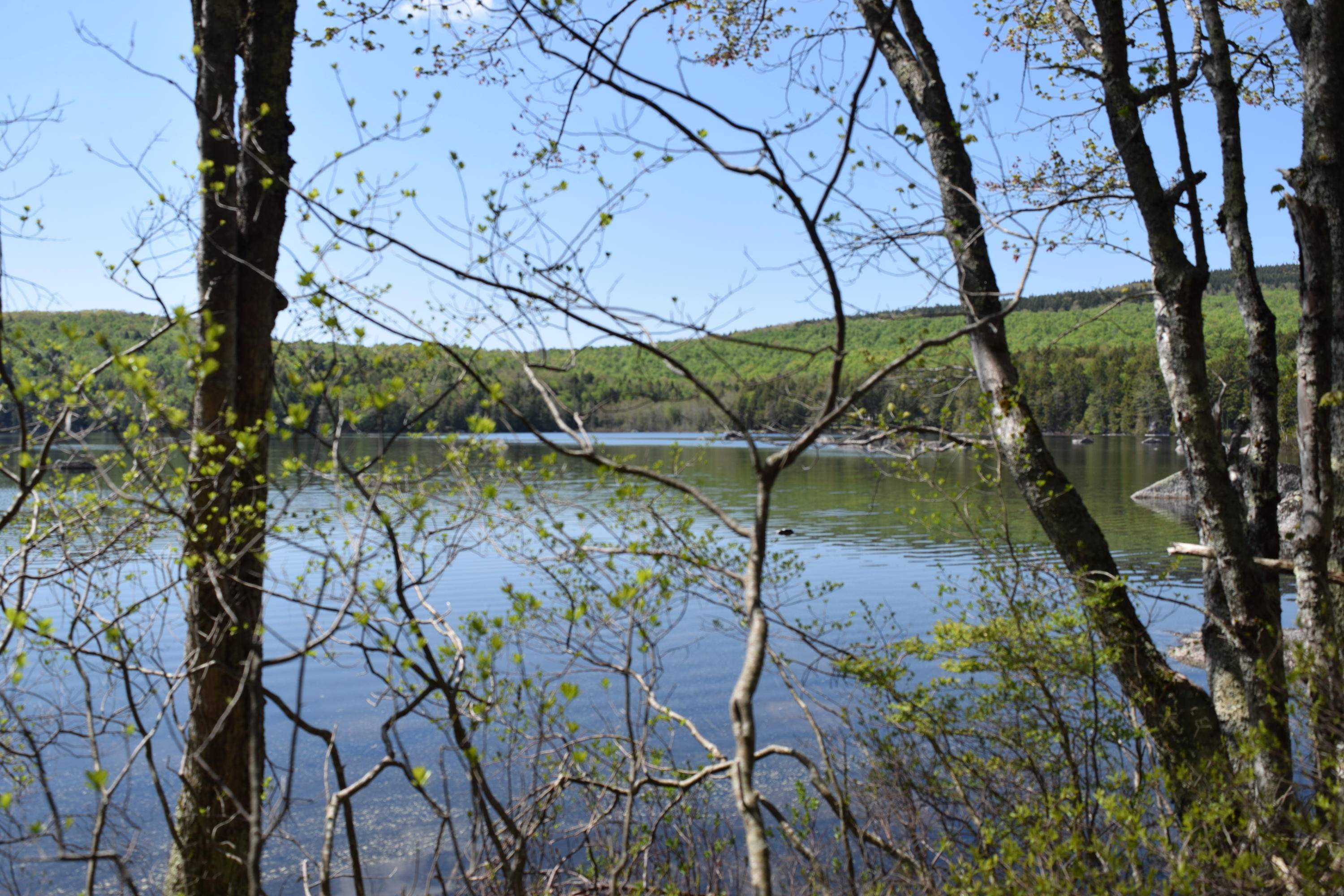 Dedham, ME 04429,0 Main RD