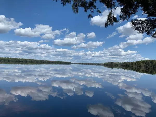 Princeton, ME 04668,lot 5 Black Cat PT