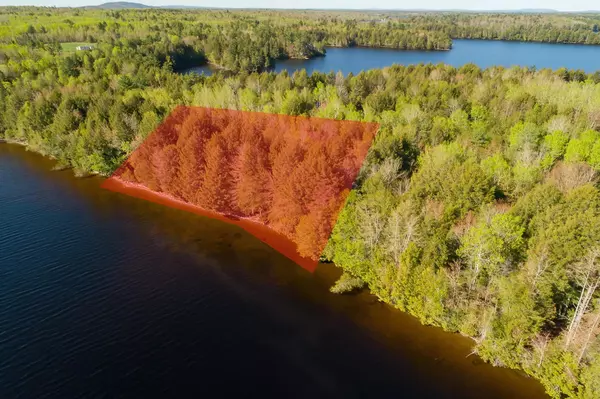 Princeton, ME 04668,lot 5 Black Cat PT