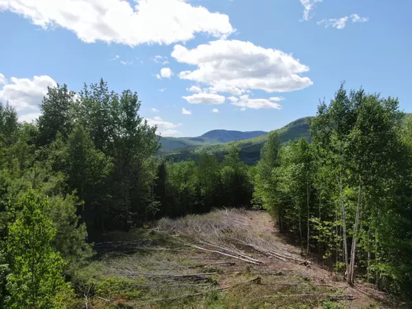 Lot 2 First Street, Bethel, ME 04217