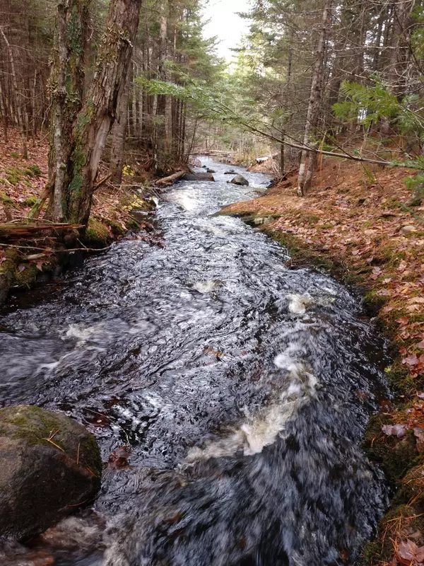 Robbinston, ME 04671,Off-645 Howard Lake RD