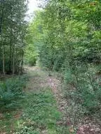 Parsonsfield, ME 04047,00 Randall Lake RD