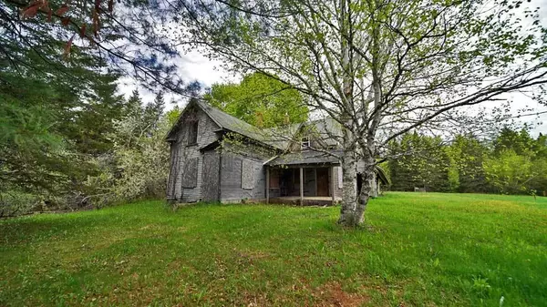 Cary Plt, ME 04471,71 Wilcox RD