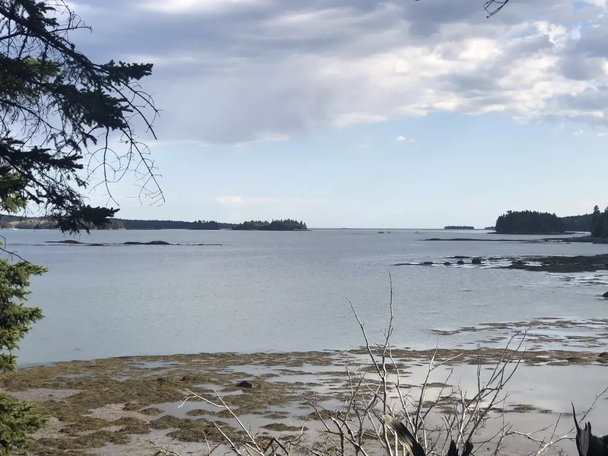 Steuben, ME 04680,10 Black Bear Trail