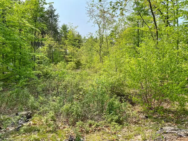 Gorham, ME 04038,00 Dingley Spring RD