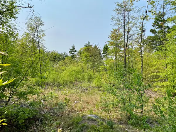 Gorham, ME 04038,00 Dingley Spring RD