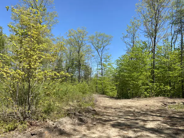 Hollis, ME 04042,25acres Killick Pond RD