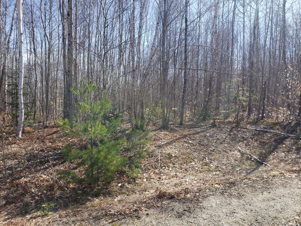 Farmington, ME 04938,TBD Deerfield Lot #4 LN #Lot #4