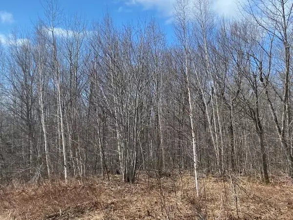 M3 L49 Bush RD, Canaan, ME 04924