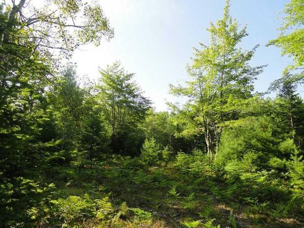 Bar Harbor, ME 04609,Lot 2 Bluff RD